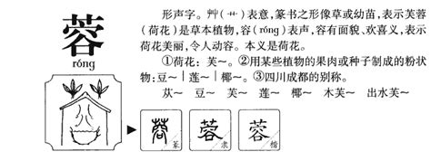 蓉名字意思|蓉字名字的寓意及含义打分详解